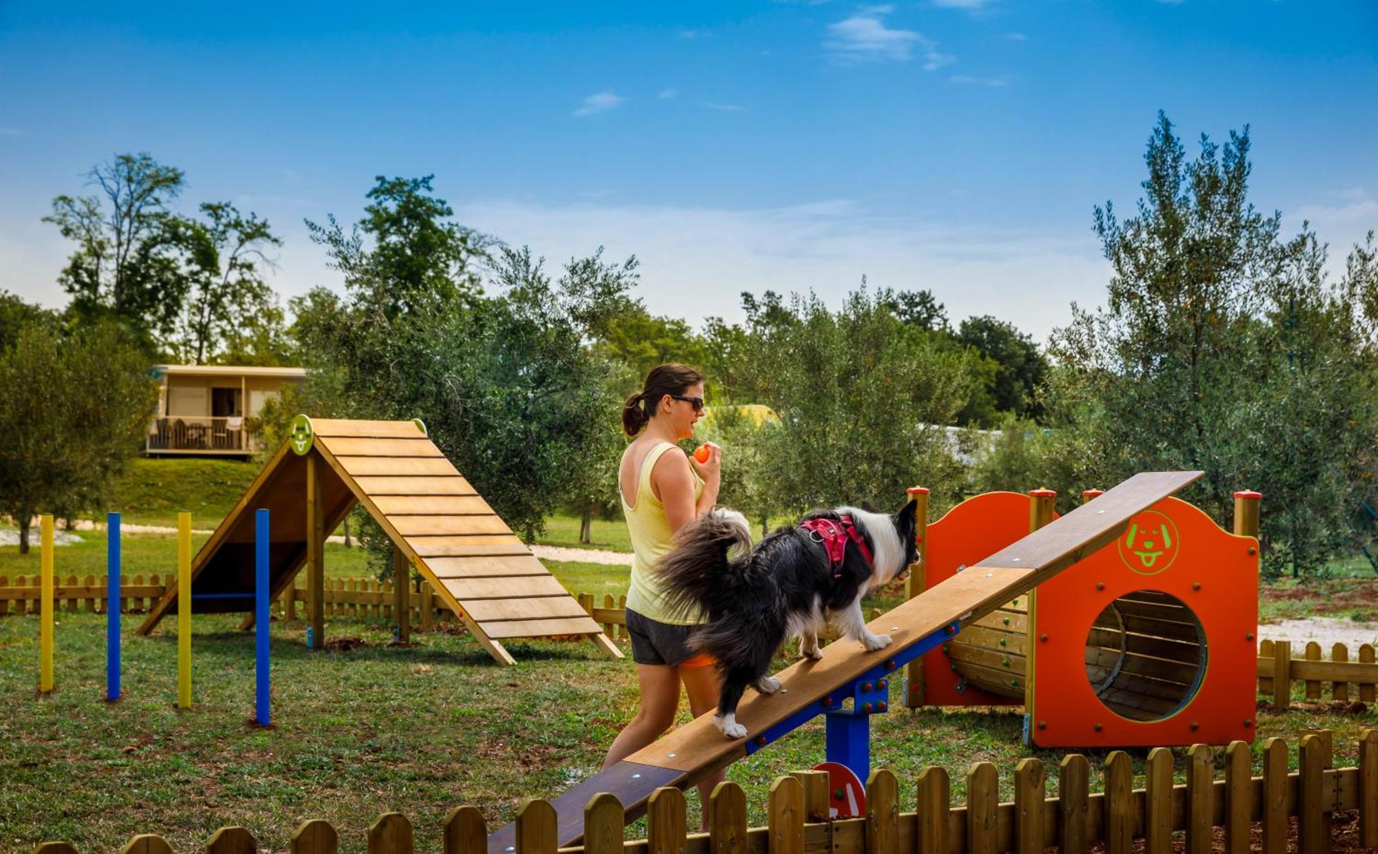Aminess Planet Camping Maravea Resort - Pitches Novigrad Istria エクステリア 写真